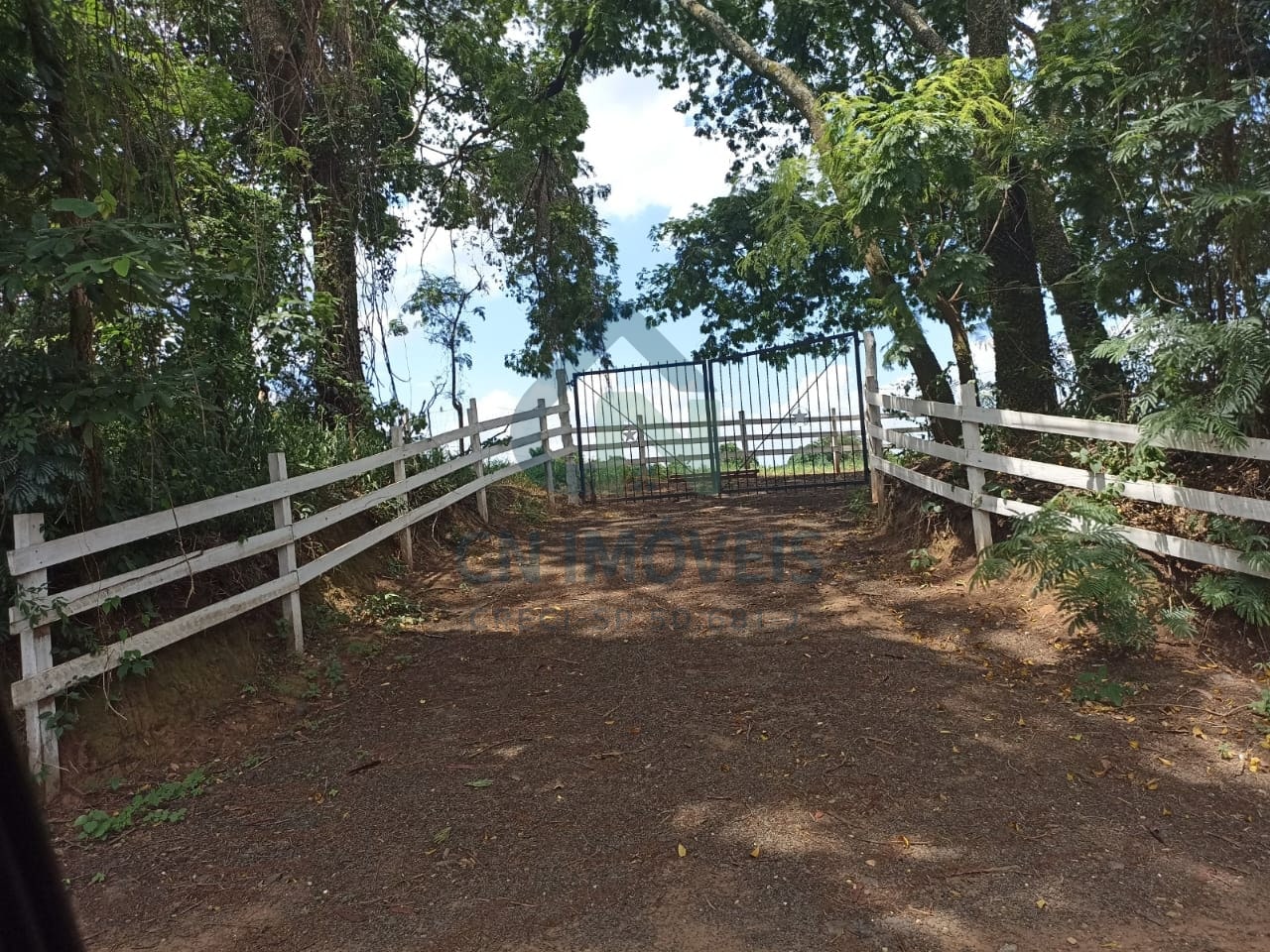 Sítio Rural - Mogi Mirim/SP